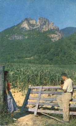 Seneca Rocks - Monongahela National Forest, West Virginia WV Postcard