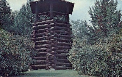 The Observation Tower - Hillsboro, West Virginia WV Postcard