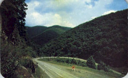 Hairpin Curve  - Seneca, West Virginia WV Postcard