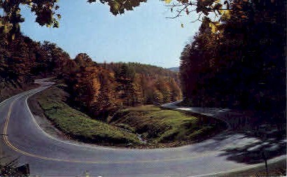 Horseshoe Curve - Grafton, West Virginia WV Postcard