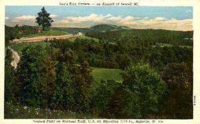 Lee's Tree Tavern  - Rainelle, West Virginia WV Postcard