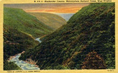 Blackwater Canyon  - Monongahela National Forest, West Virginia WV Postcard