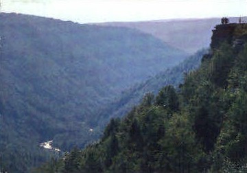 Blackwater Canyon  - Monongahela National Forest, West Virginia WV Postcard
