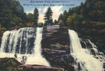 Blackwater Falls State Park, West Virginia, WV Postcard