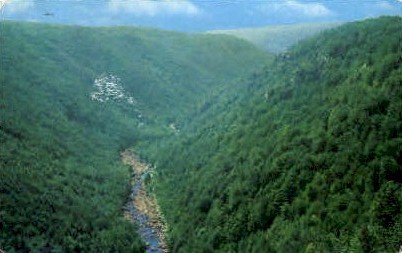 Blackwater Canyon  - Davis, West Virginia WV Postcard