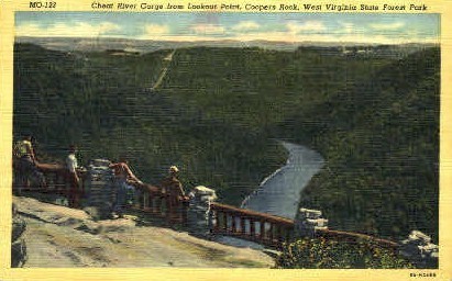 Cheat River Gorge  - West Virginia State Forest Park Postcards, West Virginia WV Postcard