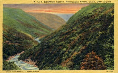 Blackwater Canyon - Monongahela National Forest, West Virginia WV Postcard