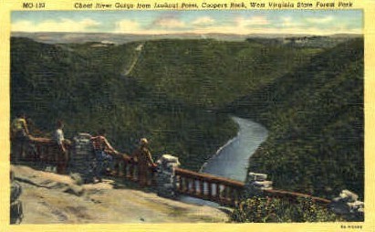 Cheat River Gorge  - West Virginia State Forest Park Postcards, West Virginia WV Postcard