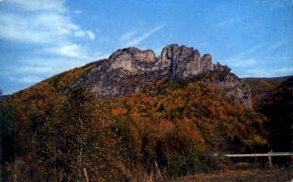 Monongahela National Forest, West Virginia, WV Postcard