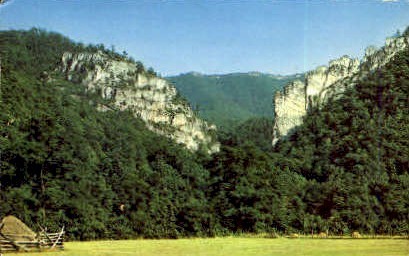 Champe Rocks - Pendleton County, West Virginia WV Postcard