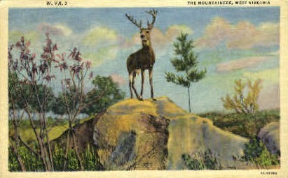 The Mountaineer - MIsc, West Virginia WV Postcard