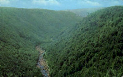 Blackwater Canyon  - Blackwater Falls State Park, West Virginia WV Postcard