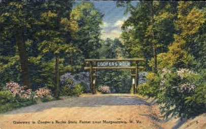 Cooper's Rock State Forest  - Morgantown, West Virginia WV Postcard