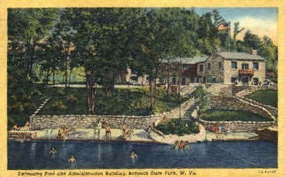 Babcock State Park  - West Virginia WV Postcard
