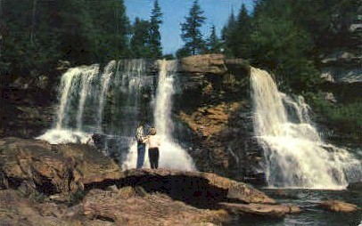 Blackwater Falls  - Davis, West Virginia WV Postcard