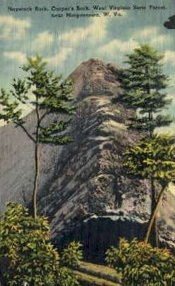 Cooper's Rock State Forest  - Morgantown, West Virginia WV Postcard