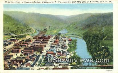 Business Section - Williamson, West Virginia WV Postcard