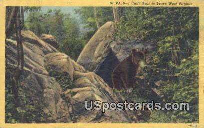Bear - MIsc, West Virginia WV Postcard