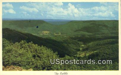 The Saddle - Allegheny Front, West Virginia WV Postcard