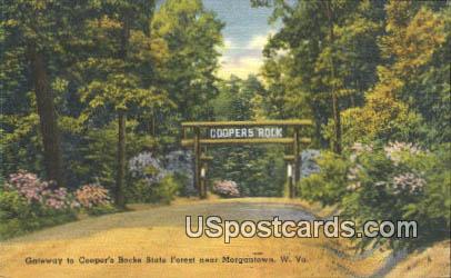 Gateway to Cooper's Rock State Forest - Morgantown, West Virginia WV Postcard