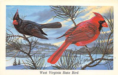 State Bird WV