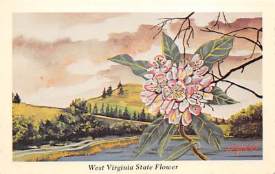 State Flower WV