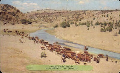 Greetings From - Misc, Wyoming WY Postcard