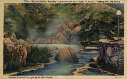 The Big Spring - Thermopolis, Wyoming WY Postcard
