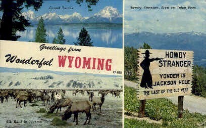 Greetings From - Misc, Wyoming WY Postcard