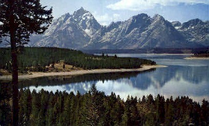 Teton Range - Jackson Lake, Wyoming WY Postcard