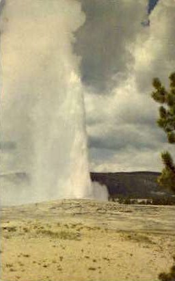 Old Faithful Geyser - Yellowstone National Park, Wyoming WY Postcard