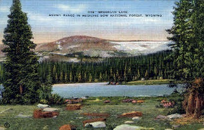 Brooklyn Lake - Medicine Bow National Forest, Wyoming WY Postcard