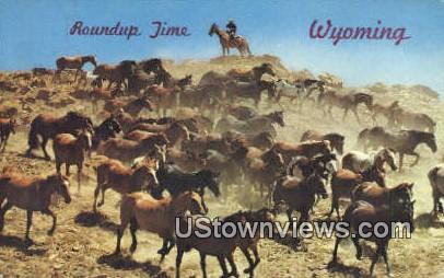 Roundup Time - Misc, Wyoming WY Postcard