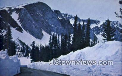 Medicine Bow National Forest, Wyoming, WY Postcard