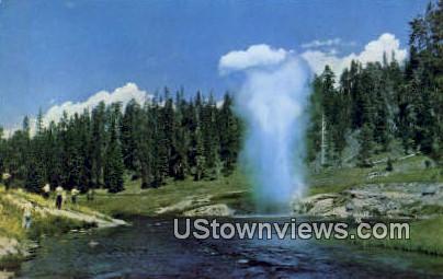 Riverside Geyser - Yellowstone National Park, Wyoming WY Postcard