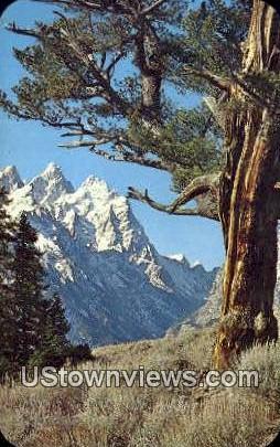 Grand Teton - Jackson Hole, Wyoming WY Postcard