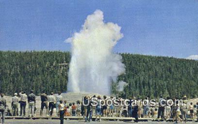 Old Faithful Geyser - Yellowstone Park, Wyoming WY Postcard