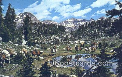 Pack Trip - Wind River Range, Wyoming WY Postcard