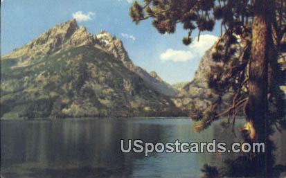 MT Teewinot, Jenny Lake - Jackson Hole, Wyoming WY Postcard