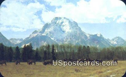 Mt Moran - Jackson Hole, Wyoming WY Postcard