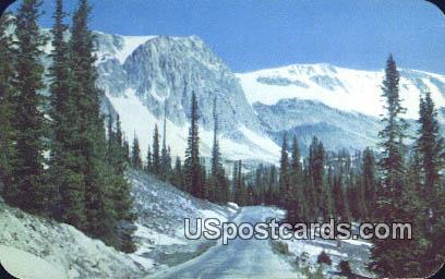 Highway No 130 - Medicine Bow National Forest, Wyoming WY Postcard