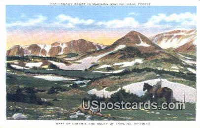 Medicine Bow National Forest - Rawlins, Wyoming WY Postcard