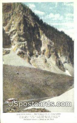 Sylvan Pass Loop - Buffalo Bill Country, Wyoming WY Postcard