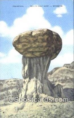 Toadstool - Hells Half Acre, Wyoming WY Postcard