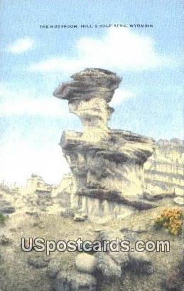 Mushroom - Hells Half Acre, Wyoming WY Postcard