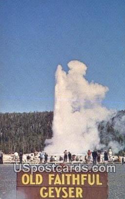 Old Faithful Geyser - Yellowstone National Park, Wyoming WY Postcard