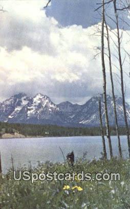 Teton Mountains - Grand Teton National Park, Wyoming WY Postcard