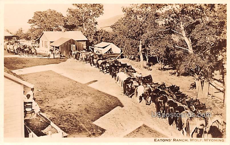 Eatons' Ranch - Wolf, Wyoming WY Postcard