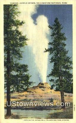 Castle Geyser - Yellowstone National Park, Wyoming WY Postcard