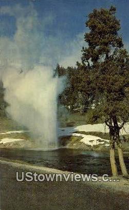 Riverside Geyser - Yellowstone National Park, Wyoming WY Postcard